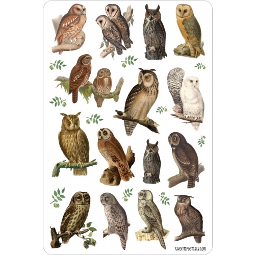 owls | sticker sheet