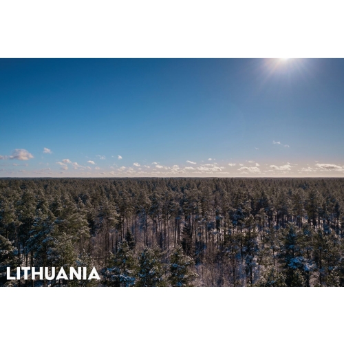 Nebula postcard #112: Winter in Lithuania