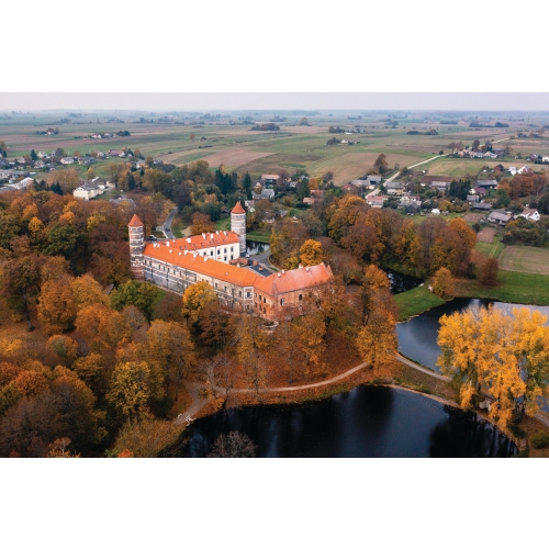 Nebula postcard #123: Panemunė Castle