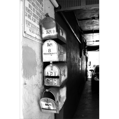 Mail boxes postcard | Black and white postcard